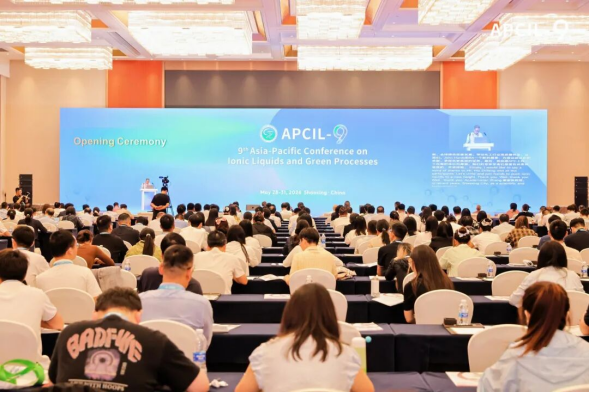 学校成功承办第九届亚太离子液体与绿色过程大会